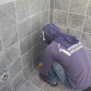 Imagem do WhatsApp de 2024-03-30 à(s) 12.16.47_92cd39fb